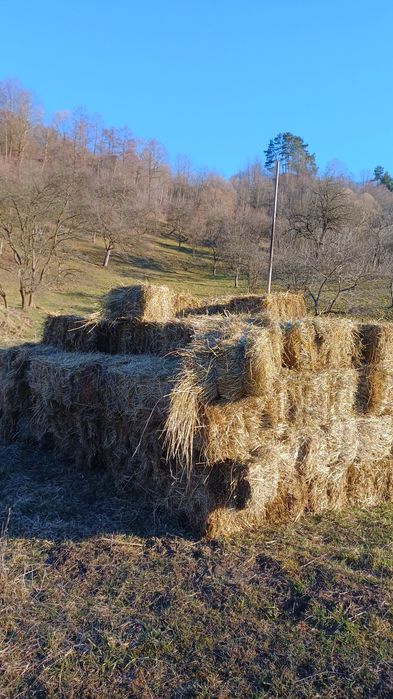Vând 220 de baloți de fân