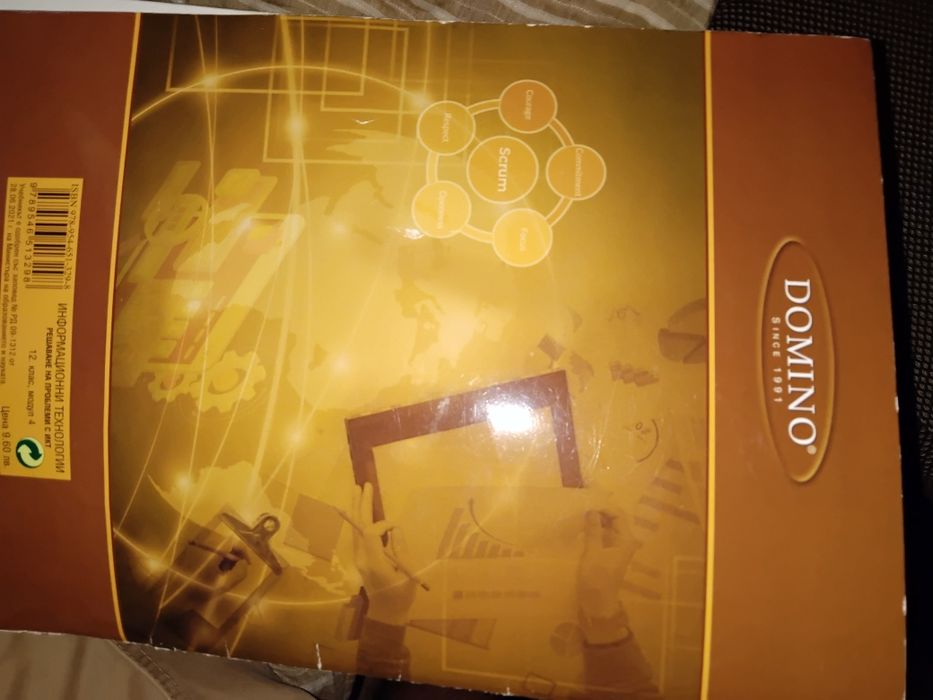 Информационни технологии 12 клас . Изд Домино.Модул 4