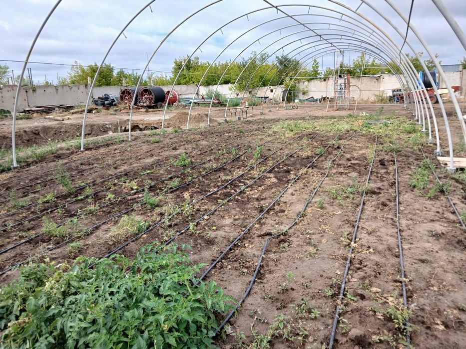 Продам изготовлю теплицу