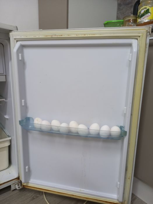 Холодильник Бирюса