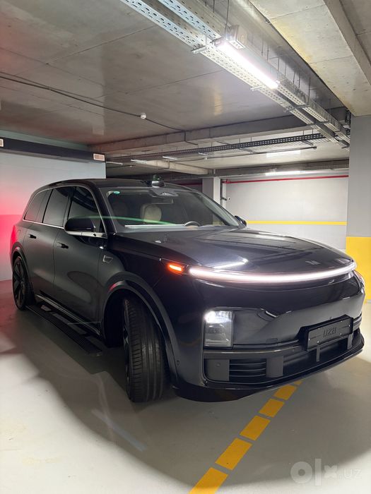 2023 Lixian L9 Max