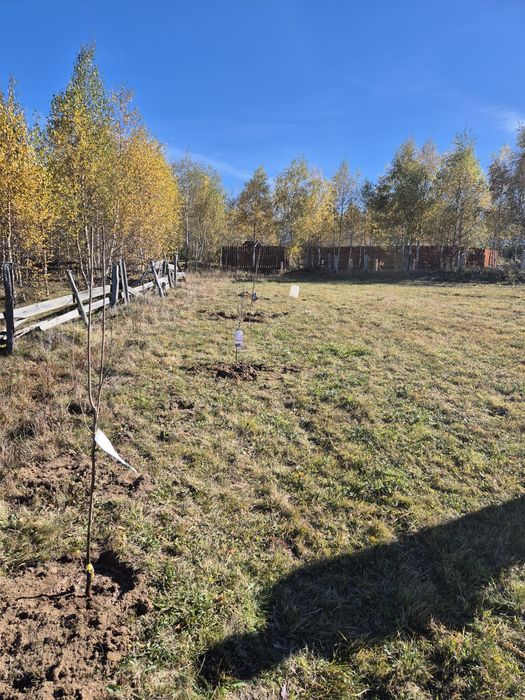 Teren Mărișel 1000mp