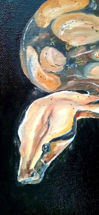 Картина Сытый питон