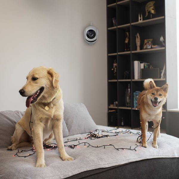 Wi-Fi камера за наблюдение и бебефон / SMK034 /