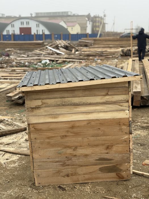 Иттің ұясы, домик собаки