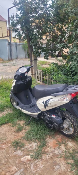 Скутер 50 куб Raser , новый