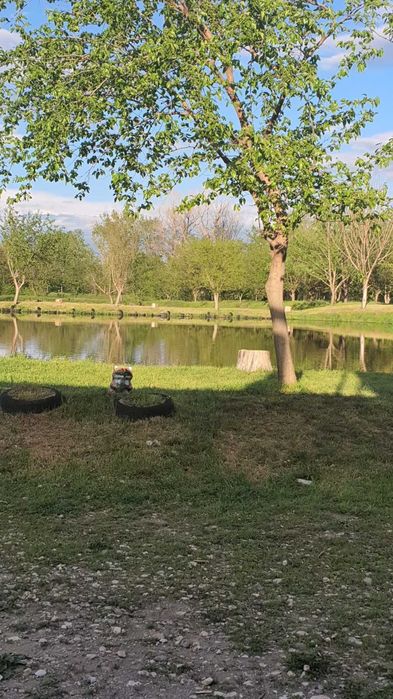 Продава се Парцел в с. Куртово Конаре, Област Пловдив - 21115 кв.м за 17 €/кв.м - Снимка #5