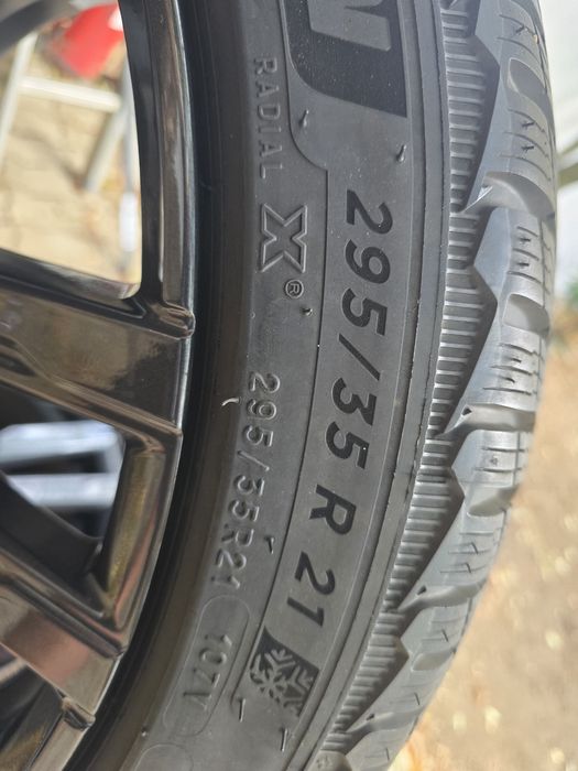 4 бр. Michelin Pilot Alpin 5 SUV 295/35 R21 107V XL – BMW  – 6.5 мм