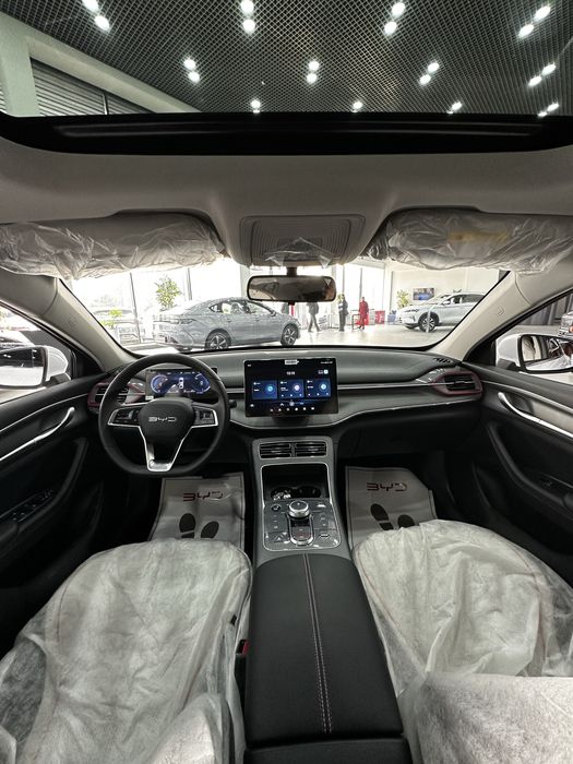 BYD Chazor Champion 55km Luxe