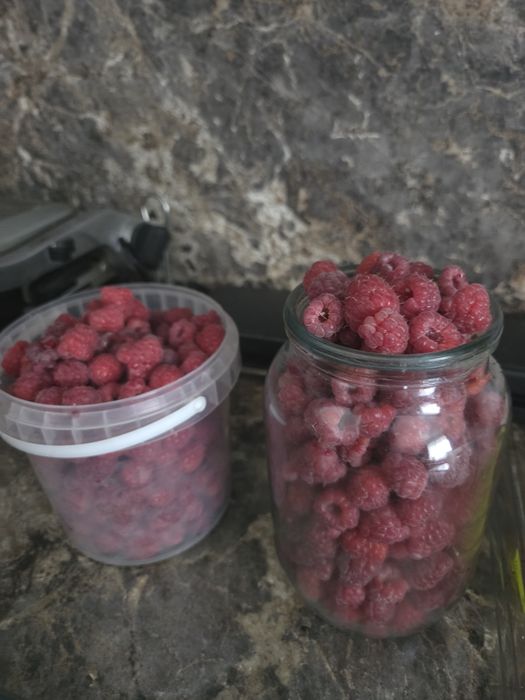 Малина свежесобранная