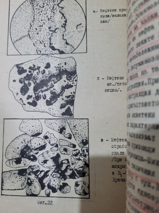 Търсене и проучване на нефтени и газови находища, П.Мандев