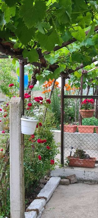 Продава се Къща в Силистра, Юг - 100 кв.м за 255 €/кв.м - Снимка #6