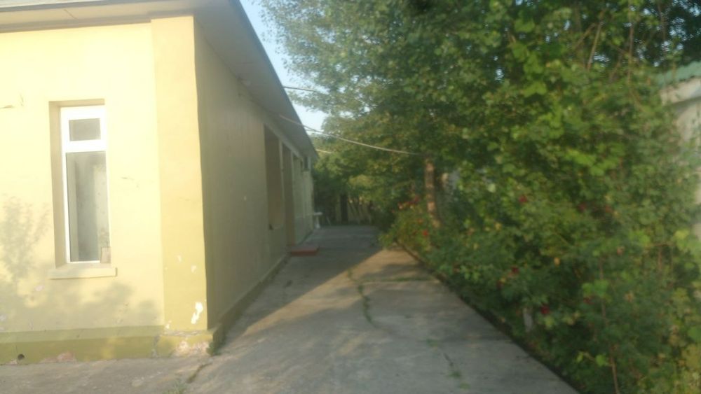 Наманган вилояти Янгиқӯрғон туманида Чортоқсой бӯйида дала-ҳовли