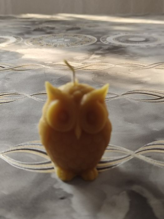 Продам восковые свечи.