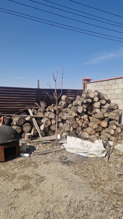 Продам дрова карагач