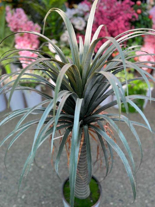 Искусственное дерево — для дома, офиса, кафе и фотозоны