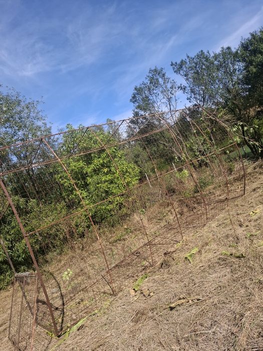 Vând solar de 6 metri lungime și 4 lățime