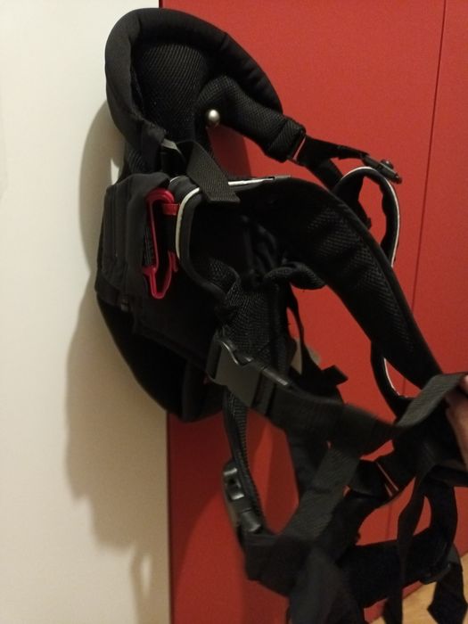 Кенгуру Chipolino