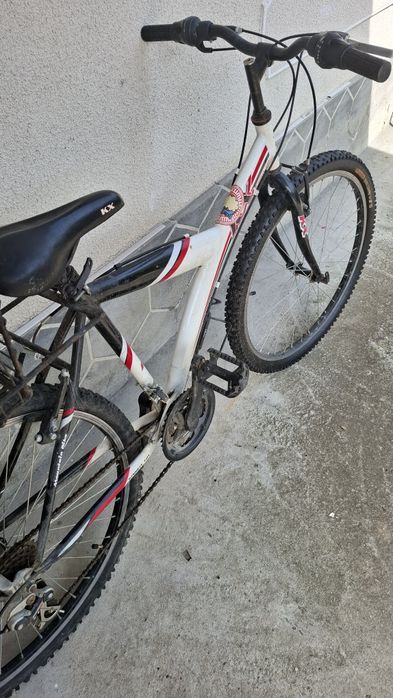 Bicicleta adulți