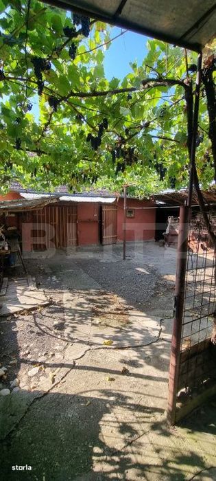 Casa cu 3 camere, anexe, curte si gradina