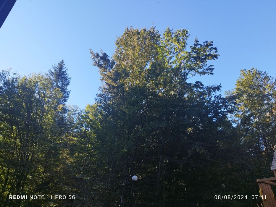 Продавам гора 12.5 декара