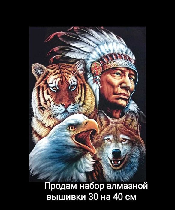 Продам набор Алмазной вышивки