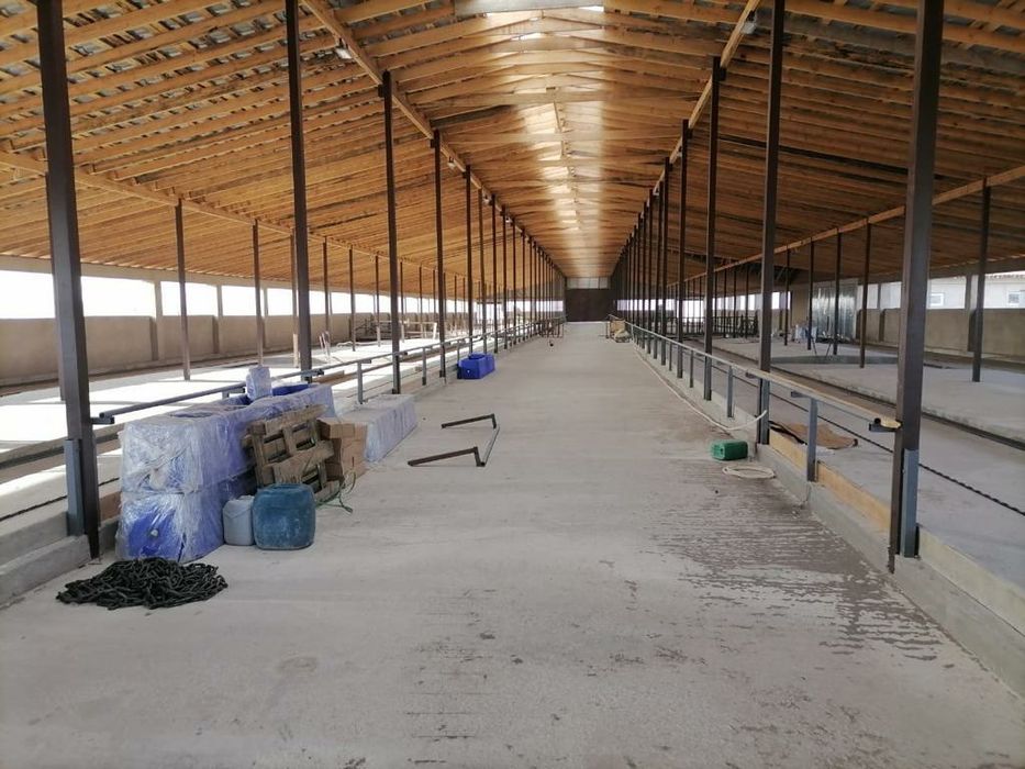 СРОЧНО! Молочно-товарноя ферма