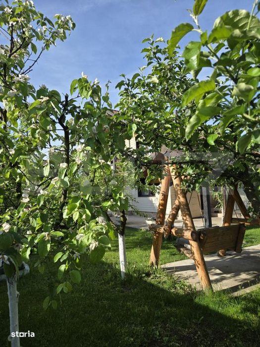Vanzare in 2 rate Iedera Moreni  Casa individuala P+1 cu mansarda, ter