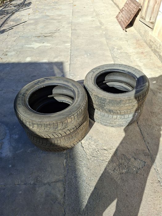 Зимняя резина 215/60 R16 TRIANGLE