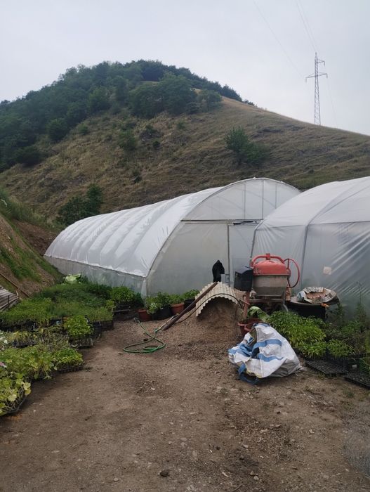 Solarii import Ungaria ieftine profesionale