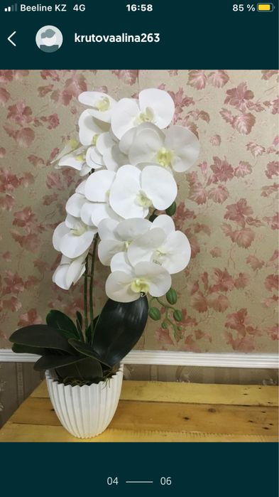 Архидея своими руками