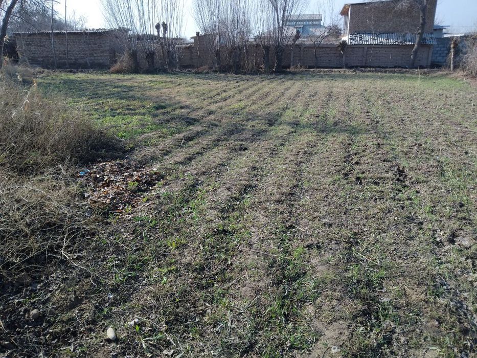 Uy sotiladi 15 sotix