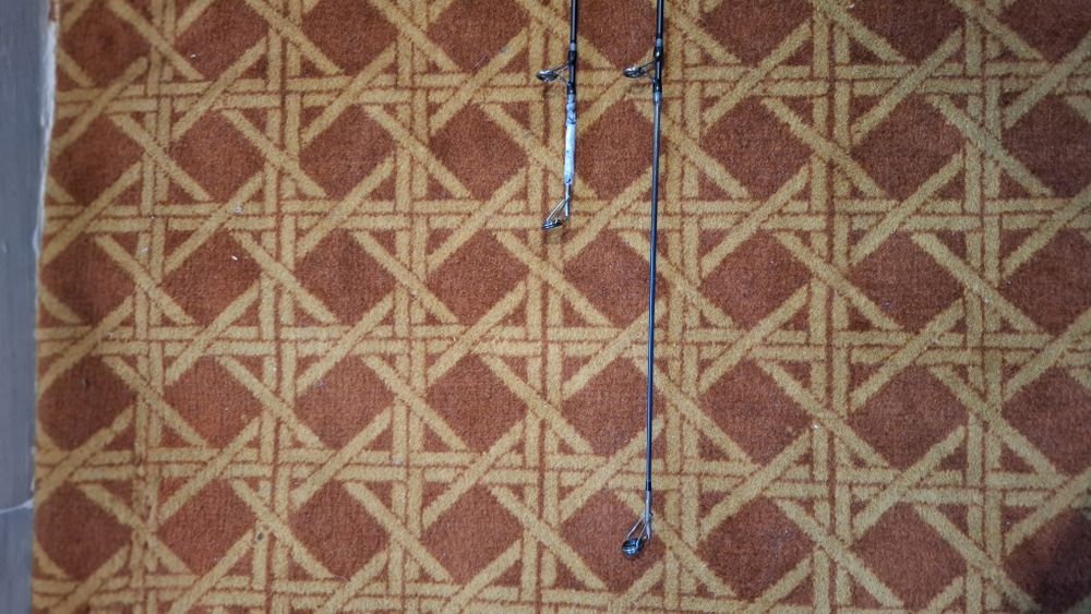 Echipament de pescuit lansete+mulinete+rod pod+senzori