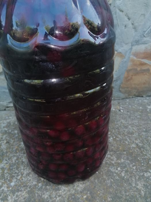 Aperitiv din vișine