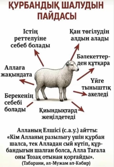 Қой тірі құрбандыққа