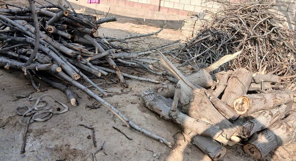 Дрова орех сухие выпилинные