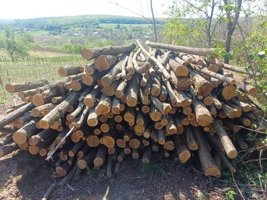 Vand Stâlpi salcâm.