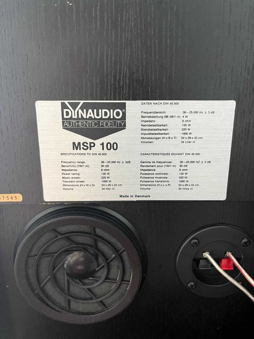 Boxe Dynaudio MSP100