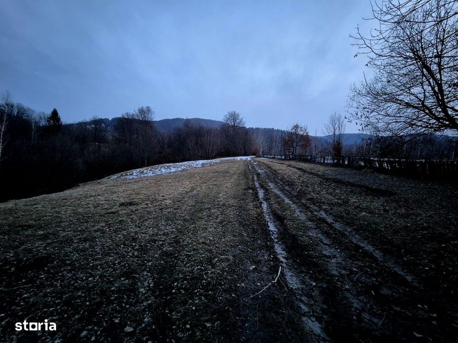 Teren 5000 mp extravilan Sinca Noua