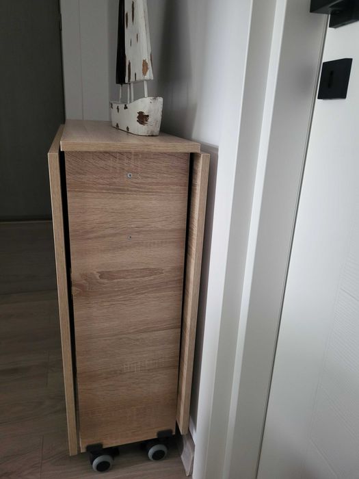 Vand Cuier haine+masa plianta+lustra   1.000 lei