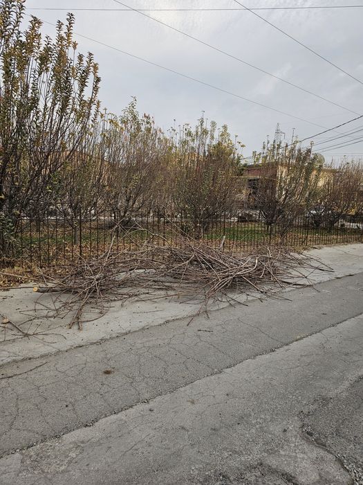 Otin Tekinga beriladi