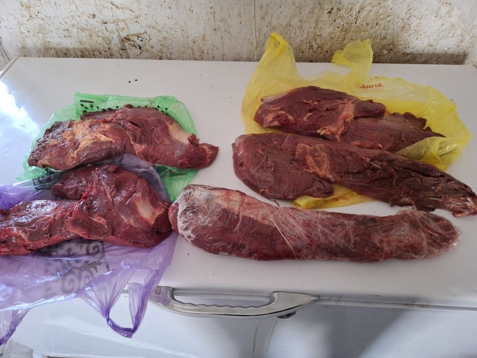 Конинина вырезка