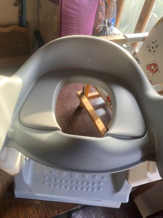 Детское сиденье на унитаз с лестницей