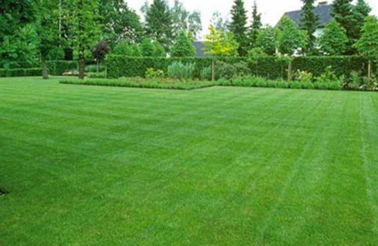 Gazon Rulou, Sisteme de irigare