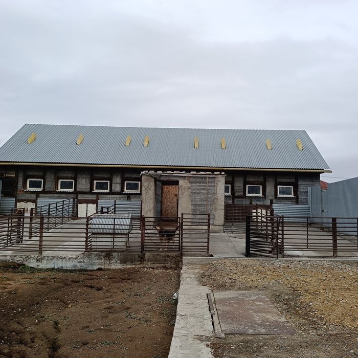 Продам дом  с мини фермой