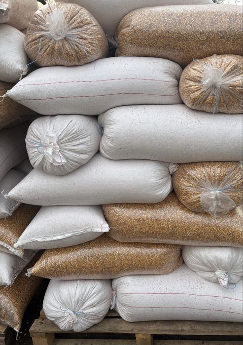 Porumb boabe însacuit Cluj napoca