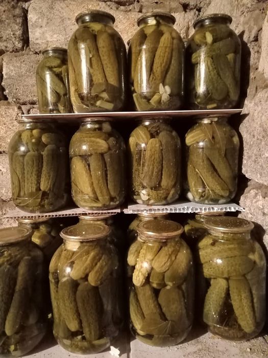 Продам домашнее соленье