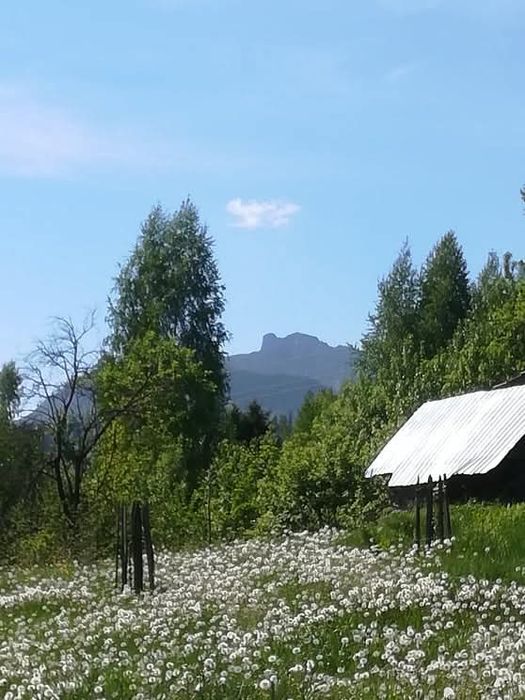 Teren intravilan de vânzare în localitatea Ceahlău 13.000 mp