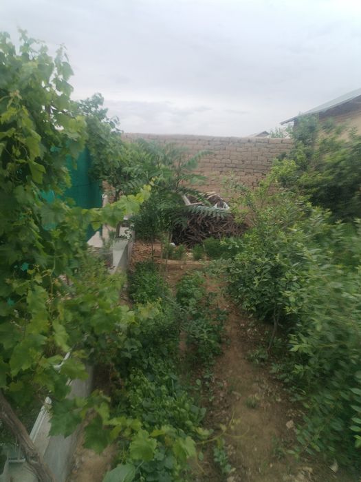 Нархи келишилади