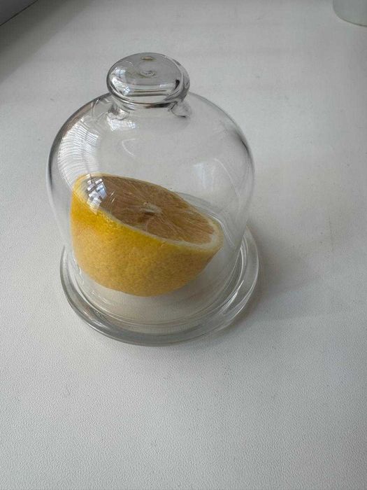 Посуда Лимонница, контейнер